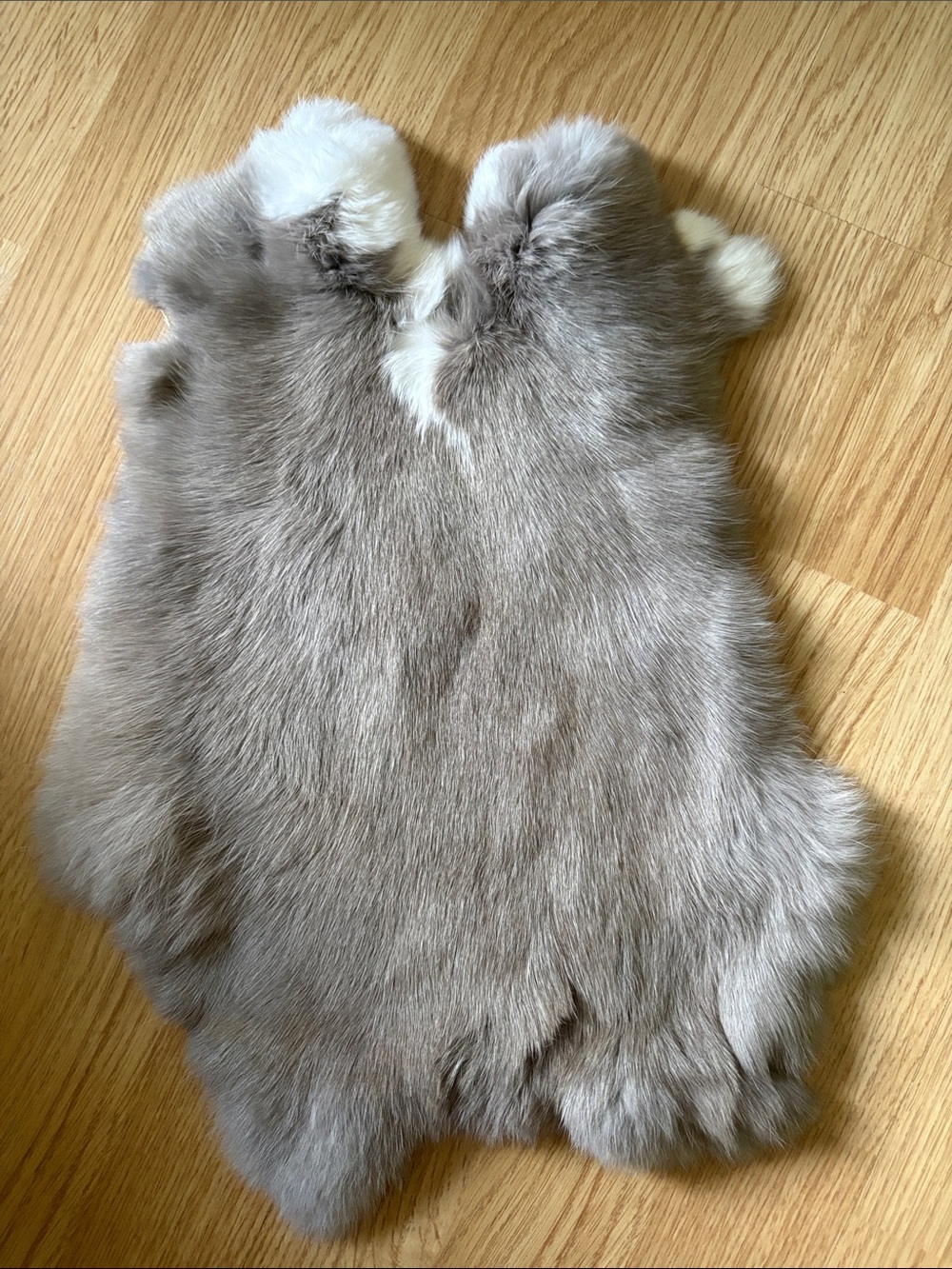 B0134 rabbit pelt